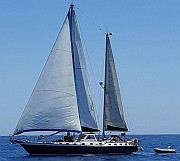 Mikado - C-1